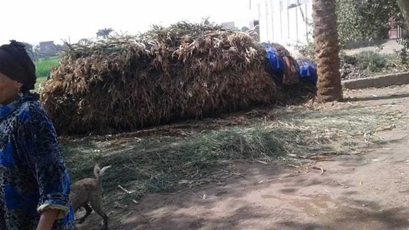 تحرير 64 محضرا لمواطنين