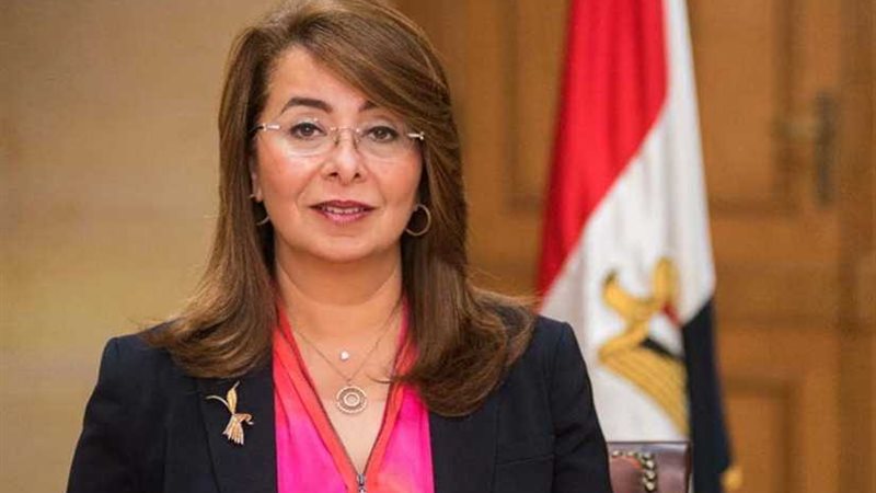 والي: 52 مليون جنيه