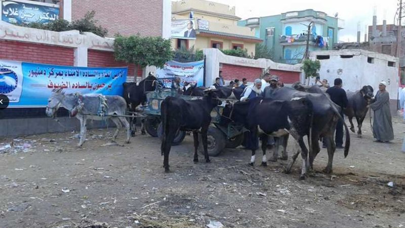 قافلة بيطرية لحزب