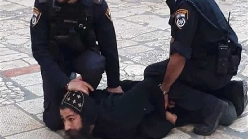  سفراء السلام تدين