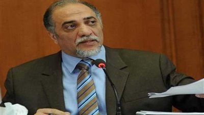 رئيس دعم مصر.. تسلم القاهرة رئاسة الشبكة العربية لحقوق الإنسان انتصار لمصر