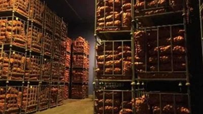 ضبط 700 طن بطاطس مخزنة بداخل إحدى الثلاجات بدمياط الجديدة