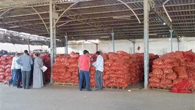 ضبط 100 طن بطاطس داخل ثلاجة بساحل دجوى فى بنها