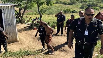 القبض على رجل اغتصب قطة جيرانه