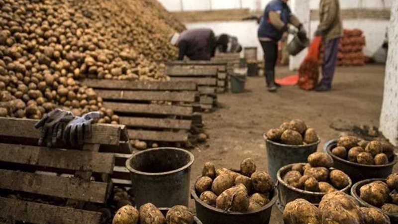 الداخلية تواجه المحتكرين