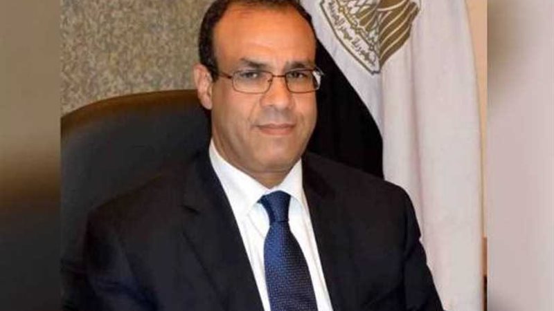 السفير بدر عبدالعاطي: