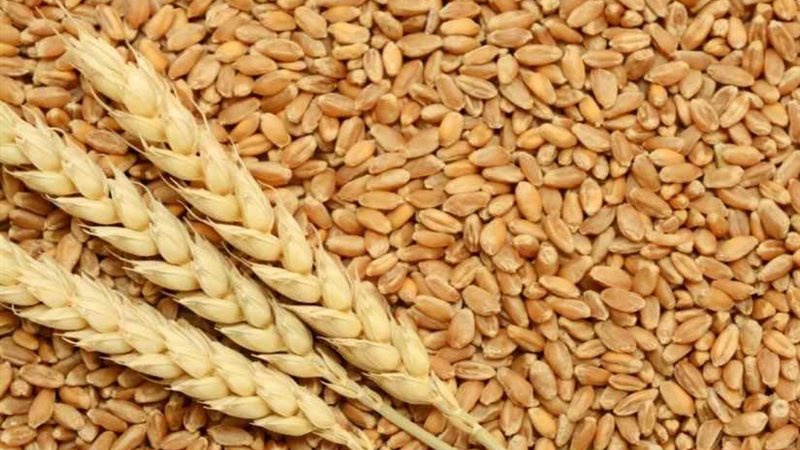 السلع التموينية تتعاقد