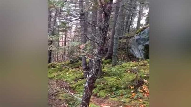 ملايين المشاهدات