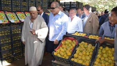 السعيد في سوق خضار وفاكهة طنطا