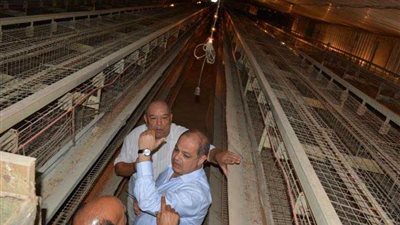 السعيد يستجيب لـ