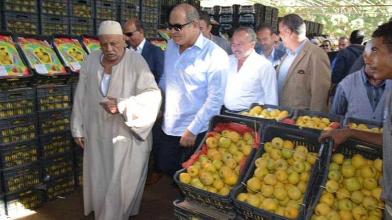 السعيد في سوق خضار