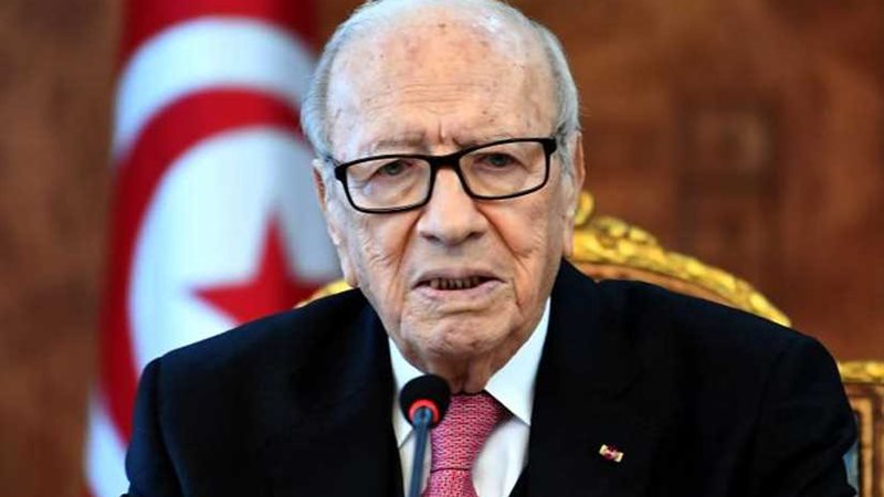 السبسي: الإرهاب ما