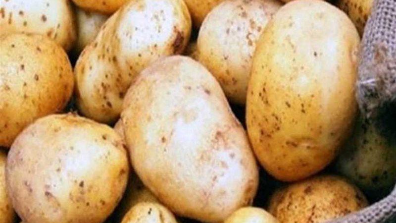 مستقبل وطن بدكرنس