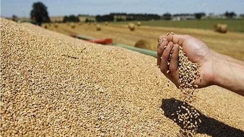 مصرع طالبة تناولت