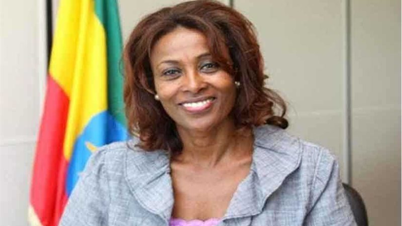 البرلمان الإثيوبي