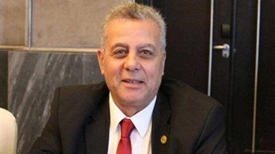 برلماني: تعامل مصر مع 