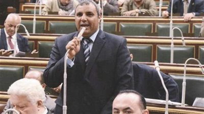 برلماني: ستظل مصر آمنة قوية رغم أنف الخائنين