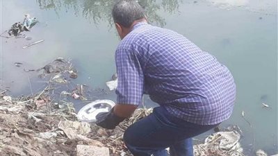 بالصور .. نشاط مكثف لمكافحة ناقلات الأمراض والترصد الحشرية بالشرقية