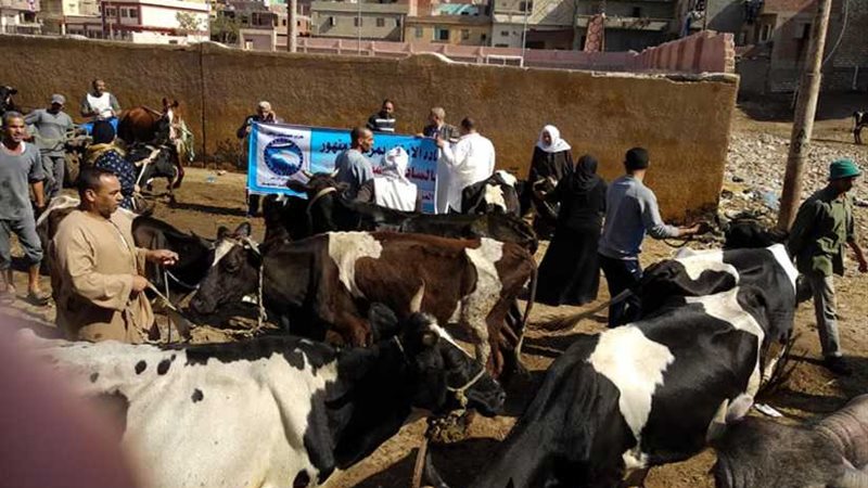 البحيرة ..قافلة بيطرية