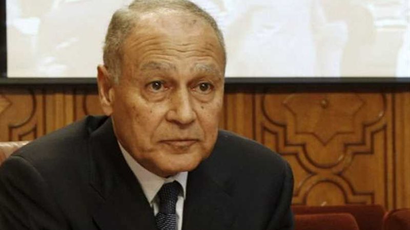 ابو الغيط يشيد باعتماد