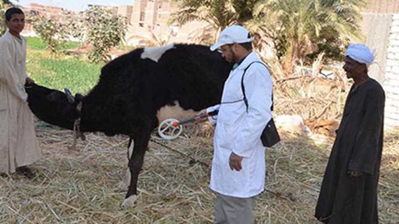 ندوات للتوعية بأمراض