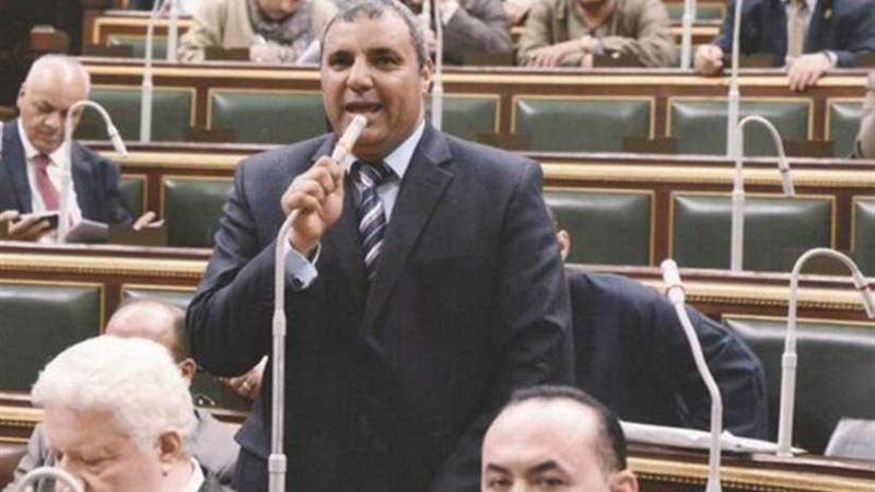 برلماني: ستظل مصر