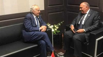 شكري يلتقي مبعوثي الأمم المتحدة لـ 