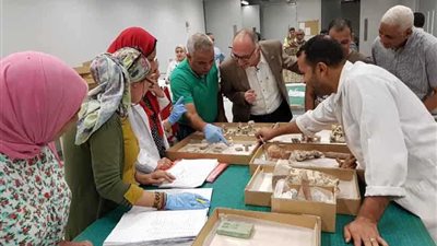 المتحف المصري الكبير يستقبل 614 قطعة أثرية