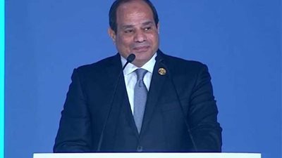السيسي: هناك تنسيق مع الدول العربية لحل قضايا المنطقة