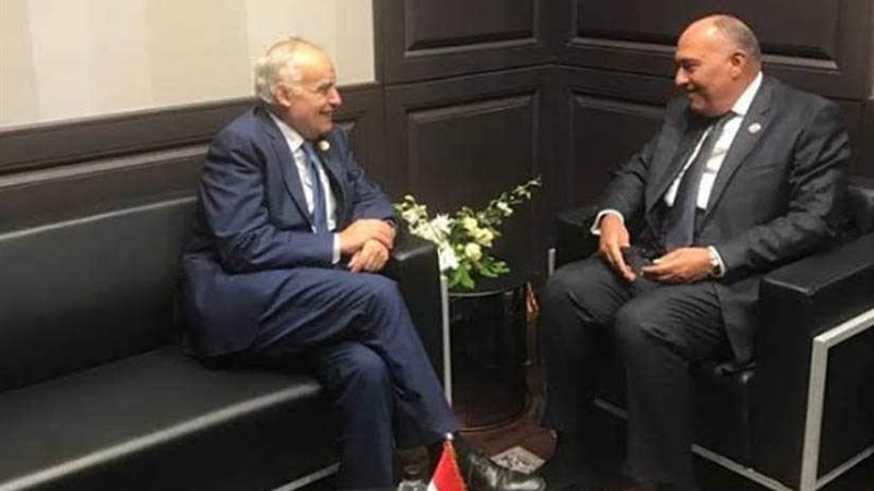 شكري يلتقي مبعوثي