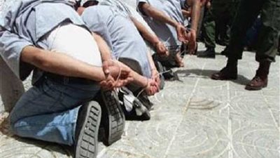 سقوط تشكيل عصابي لتزوير المستندات الرسمية بالبحيرة