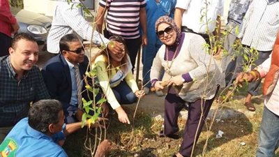 (بالصور) انطلاق مشروع المليون شجرة بتعليم الإسكندرية