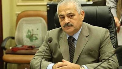 طعيمة: التكامل العربي الإفريقي سينافس الاتحاد الأوروبي