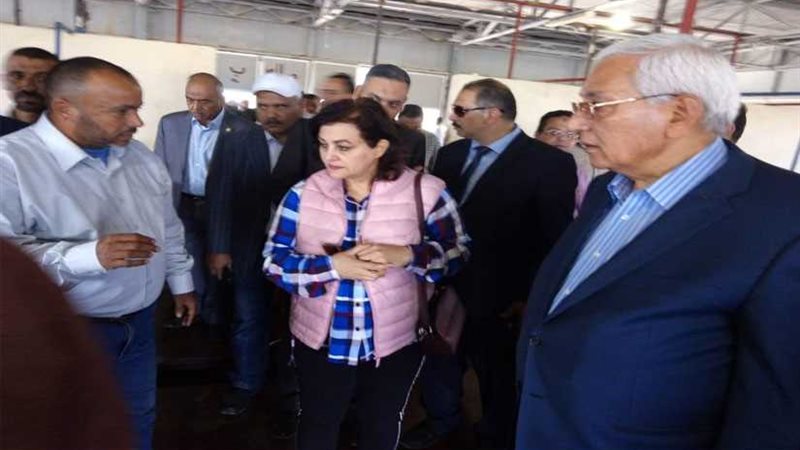 نائب وزير الزراعة: