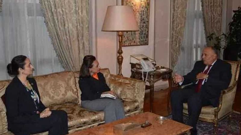 شكرى يستقبل وفد مجموعة