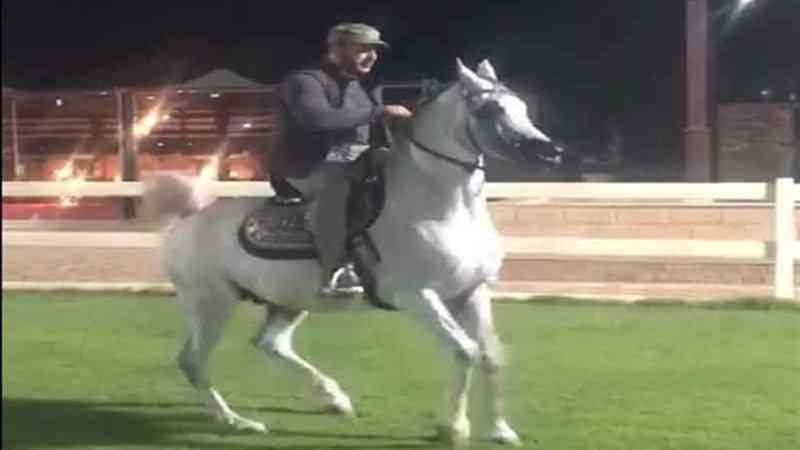 شاهد.. أحمد السقا