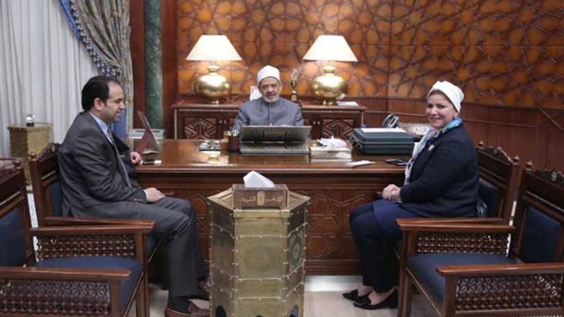 رئيس اللجنة النوعية