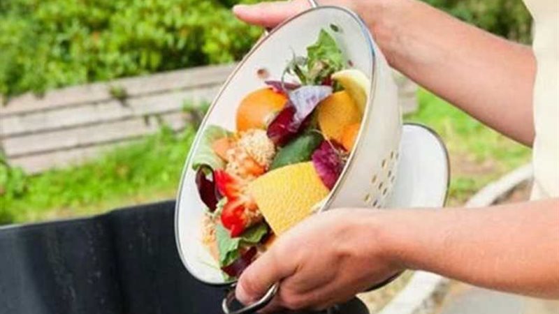 القومي للمرأةوالفاوينفذان