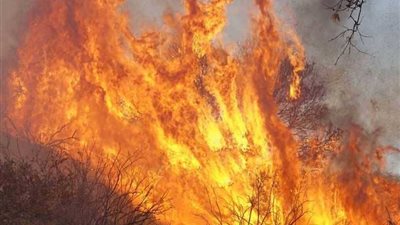 حرائق كاليفورنيا.. 29 قتيلا و228 شخصا في عداد المفقودين