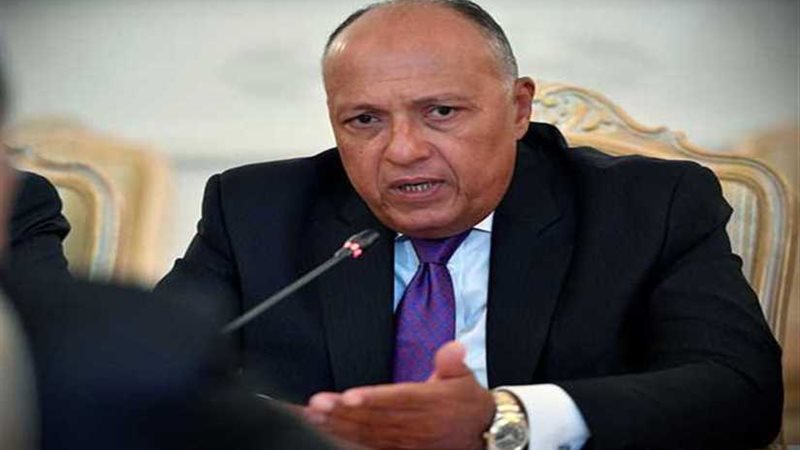 سامح شكري يترأس وفد