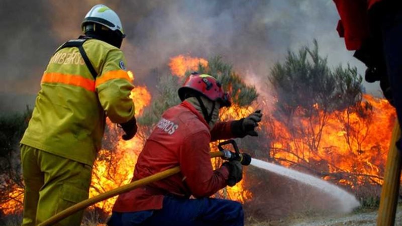 ارتفاع حصيلة ضحايا