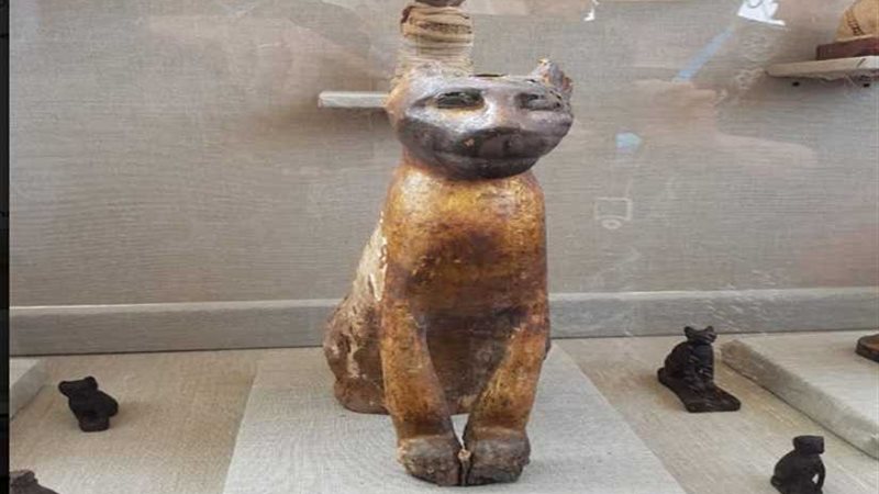 العناني: اكتشاف 1000