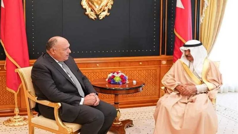 وزير الخارجية يلتقي