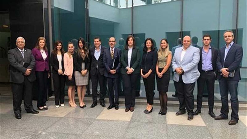 مجلس الأعمال المصرى