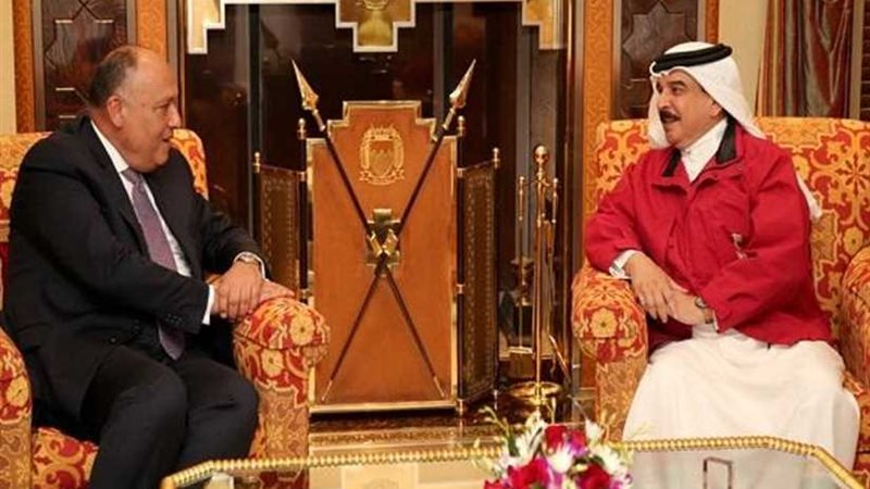 شكري يلتقي ملك البحرين