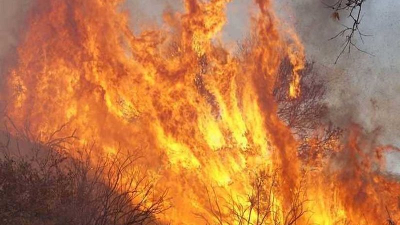 حرائق كاليفورنيا..