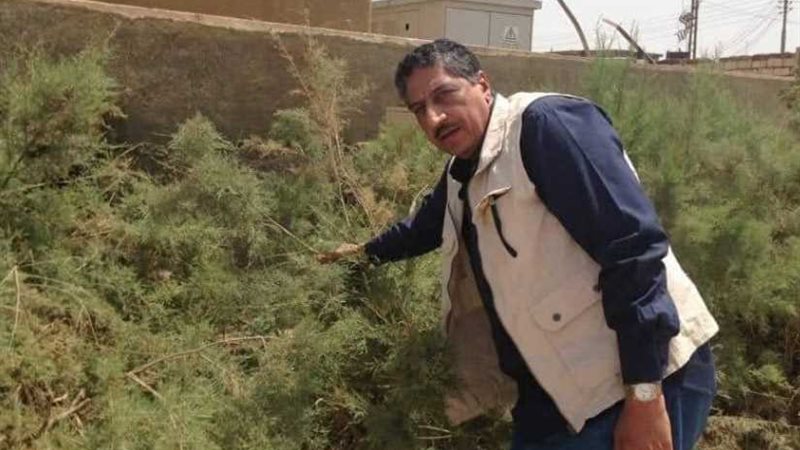 مشروع لتحويل الصحراء