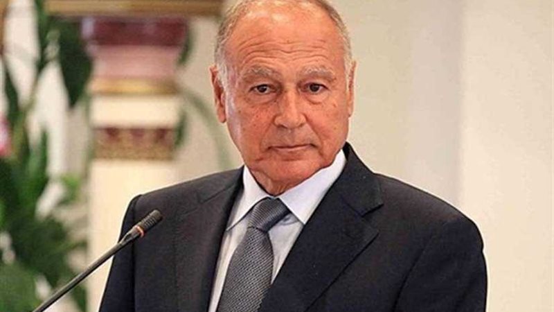 أبو الغيط يؤكد وقوف