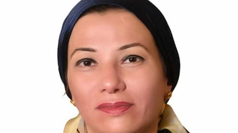 مصر تقود قمة إفريقية