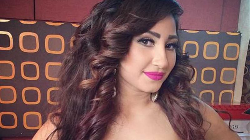 26 نوفمبر للحكم..